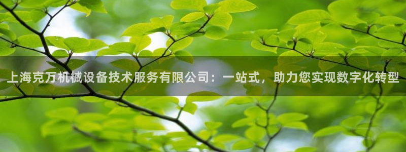j9九游会真人手机版