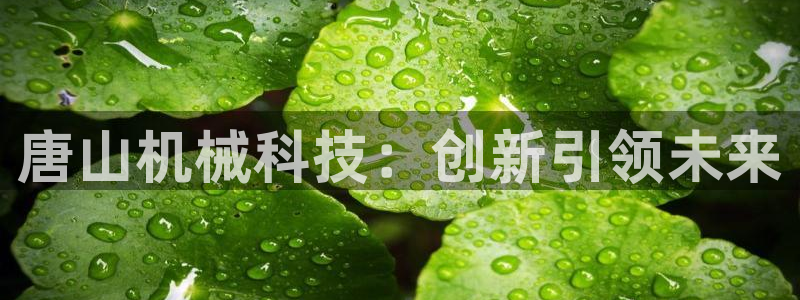 J9九游会九游国际版