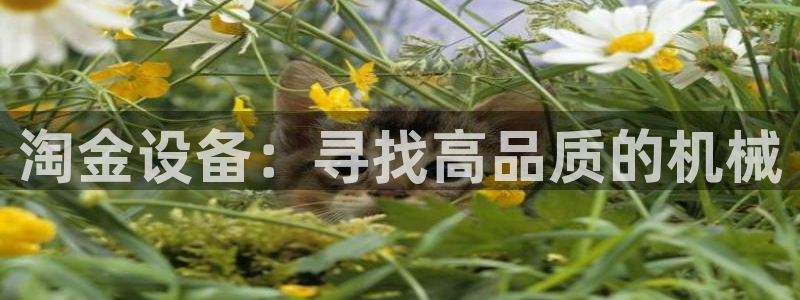 九游会官方