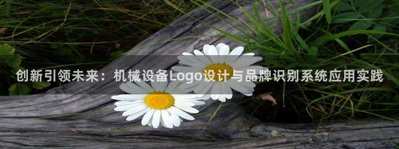 九游会平台j9