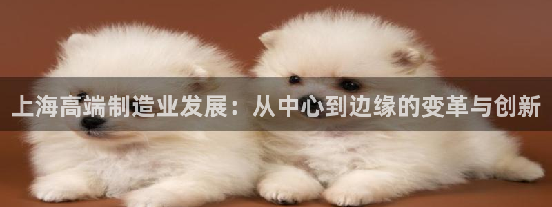 九游会网址多少：上海