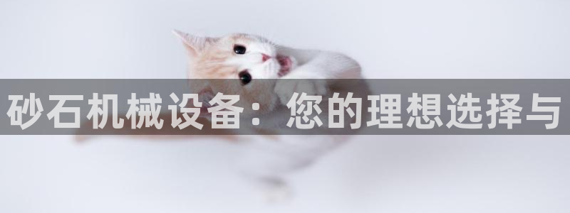 J9九游会官网app